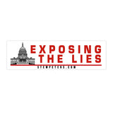Bumper Sticker — Exposing The Lies (Large)